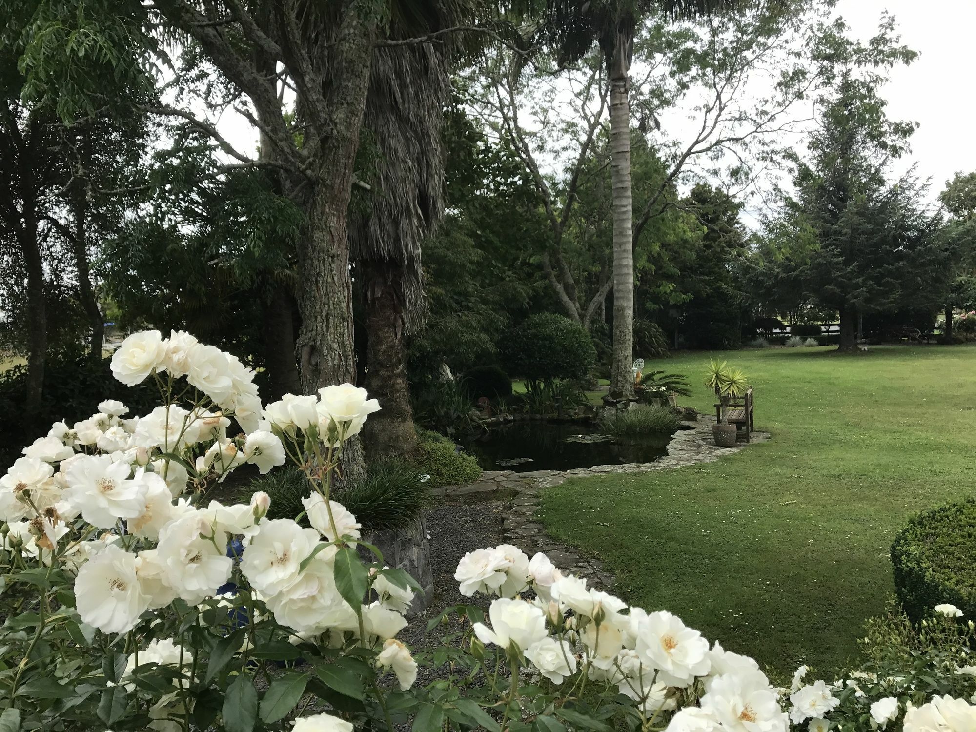 Blairgowrie House Bed and Breakfast Cambridge Εξωτερικό φωτογραφία